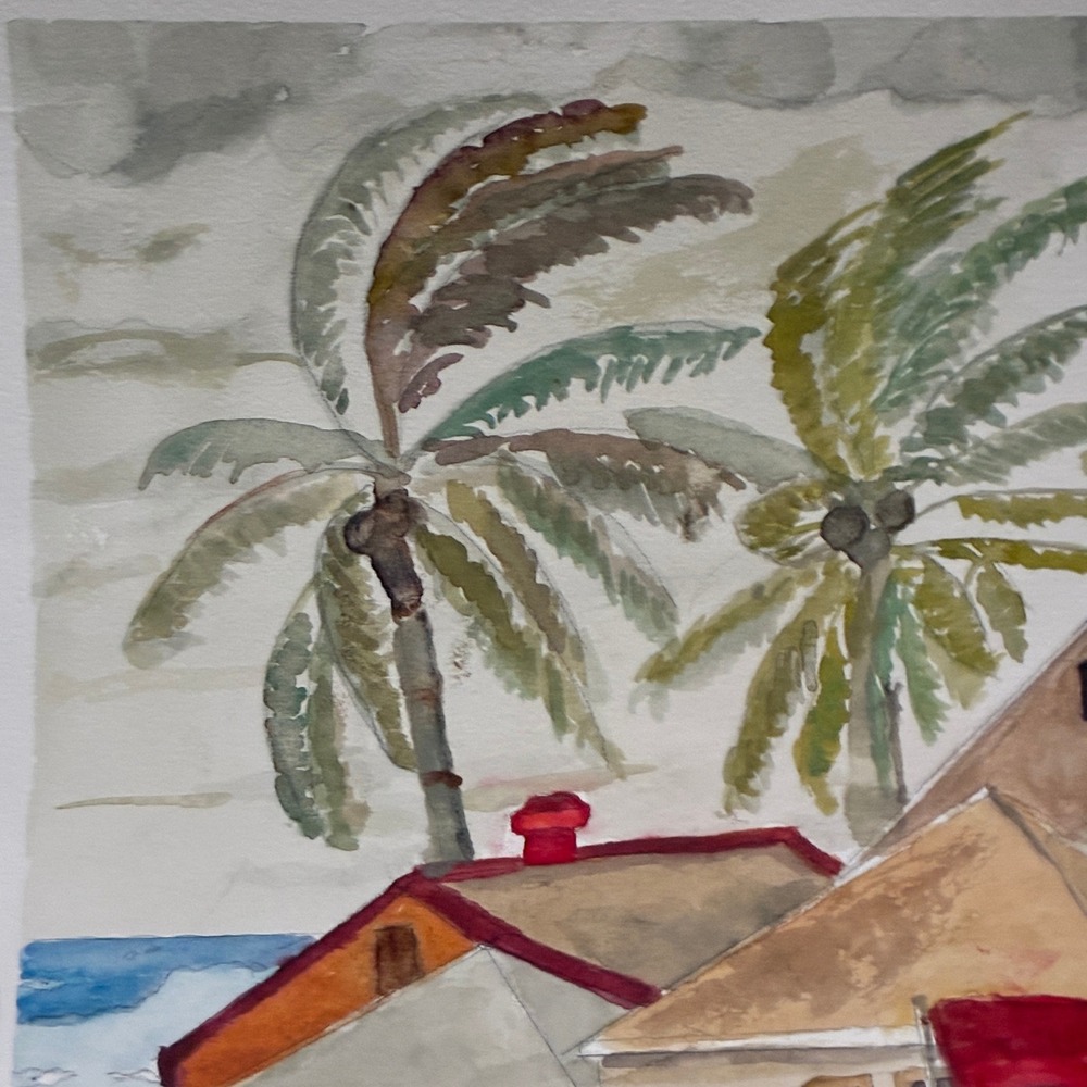 Warren C Plauche Watercolor Painting Hurricane in the Bahamas Coconuts - Picture 2 of 8